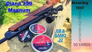 Diana 350 Magnum Accuracy Test | 50 yards | springer!!!