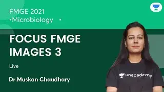 FOCUS FMGE IMAGES 3 | FMGE'21 | Microbiology | Let's Crack NEET PG| Dr.Muskan Chaudhary