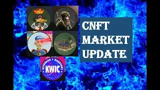 CNFT Market Volume The Mallard Order The Ape Society Clay Nation TAS Cabins KWIC CMattDye