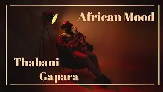 Thabani Gapara - African Mood (Live Performance)