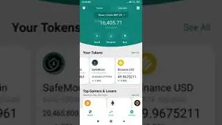 my safemoon wallet