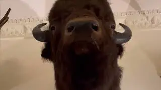 Wollaton Park Nottingham promotional video
