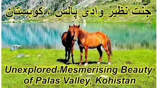 Palas Valley Kohistan  | Pattan | Kolai-Palas | Indus Kohistan | Kpk | Wanipedia Pakistan
