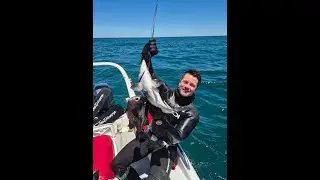 EL Spearfishing