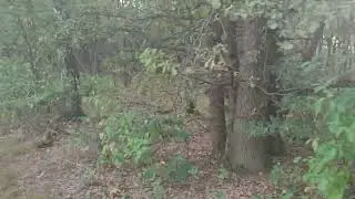 Spaziergang tor 9 ehemalige Fliegerhorst Venlo  teil 1 Deutsche Seite.