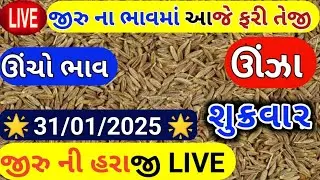 Jeera na bhav | 31-01-2025 | જીરું ના ભાવ:2025 | live cumin trading in  APMC | commodity Trend