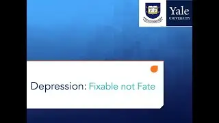 Brain Malleability - Thinking Lab