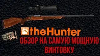 Самая мощная винтовка! Совет Новичкам! Обзор на винтовку 340 калибр | The Hunter Classic