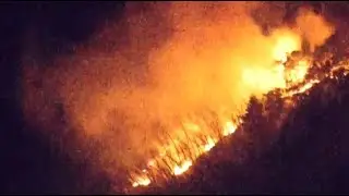 Forest fires rage in Japan