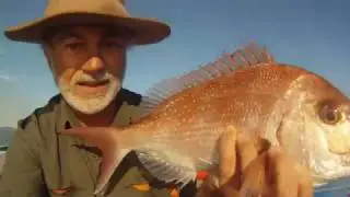 Gomoku Erito - Slow Jigging for Snapper