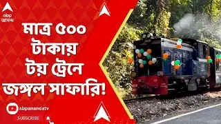 Toy Train: টয় ট্রেনে জঙ্গল সাফারি! শিলিগুড়ি থেকে গয়াবাড়ি মাত্র ৫০০ টাকায় পাহাড়ি আনন্দ