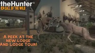 Saseka Safari Lodge and Lodge Tour of all my Trophies! | theHunter: COTW |