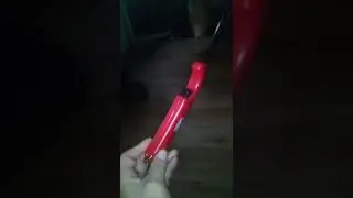 Bic Lighter inside grill lighter.
