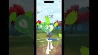 ARAQUANID LEAD IS INSANE IN SCROLL CUP POKEMON GO 2025 #shorts #greatleague #pokemongo