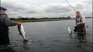 Fall Run Blitz - TOPWATER CHOPPER BLUEFISH - Blitzing NYC Style.