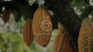 Cacaocita (Official Music Video) – Karine Ste-Marie feat. Lavalove Cacao
