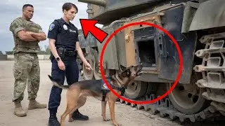 Câinele nu înceta să zgârie ușa Tancului,Iar când a sosit Poliția, ceea ce au descoperit i-a Șocat..