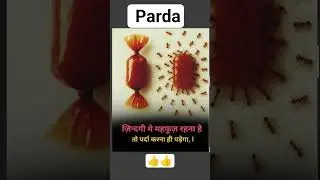 Jandhi ma mafaus rahana ha po parda karana parraga👍👍&hearts;️💯