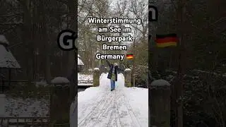 Winterstimmung am See im B&uuml;rgerpark Bremen #bremen #snow #germany #fypシ #viral #wintervibes #video