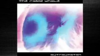 THE RABID WHOLE - THE STRINGS INSIDE from 'Autraumaton' (2009)