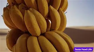 Desert Banana Cluster &mdash; Massive Golden Bananas Bending Under Heat! #banana #desert #harvest #viral