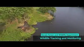 Company Profile Ai Aerial Dynamics
