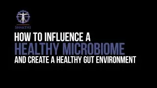 Healthy Gut Environment