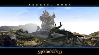 The Elder Scrolls III : Morrowind #3