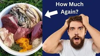 The True Cost of Raw Dog Food REVEALED.