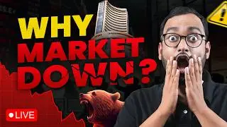 🔴Why Nifty Down Today ? | 19 Feb | Investographer