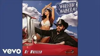 Wheeler Walker Jr. - If My Dick Is up, Why Am I Down? (Audio)