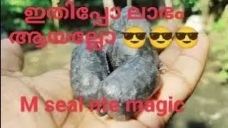 ഇതുണ്ടെങ്കിൽ പൈസ ലാഭിക്കാം | easy weight making |#mallu crazy angler#sea fishing#carp fishing