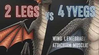 Wyverns vs Dragons: The 1 Minute Rule to Tell The Difference!