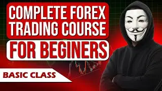 MT5 Chart Types Explained | Candlesticks vs Bar vs Line Charts | Part 1