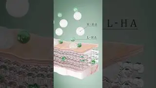 Hyaluronic Acid Molecules 3D | Skincare CGI Animation in Blender