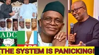 Peter Obi Tsunami Rising Again Old Political Structure Is Shaking!