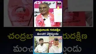 Chandrababu's Gurudakshina Harish Rao Sensational Comments CM Revanth | Chandrababu | MT