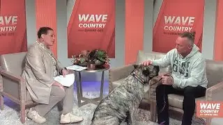Ethan 💜 the 2022 American Humane Hero Dog on &lsquo;Wave Country with Dawne Gee&rsquo; show (Louisville, KY)