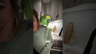 Did This Parrot Just Predict The Future? #shorts