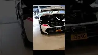 The Koenigsegg Jesko Autoskin 🔥