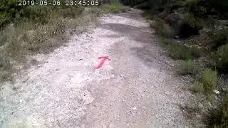 33 = 8th KYPELO AFEA , on abt 11th km , downhill
