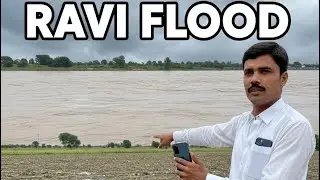 After Flood Visit | Disaster Effects on Agriculture Land