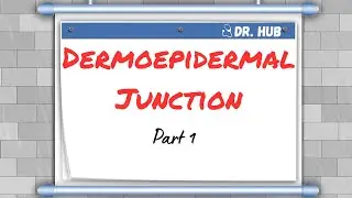 Dermoepidermal Junction - Part 1