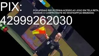 p4lm31r4s x f14m3ng0 40v1v0 c0m 1m4g3n$