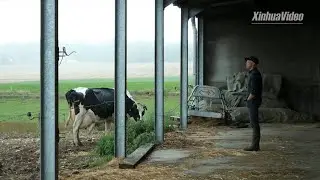 European beef farmers worry about new trade deal with U.S.