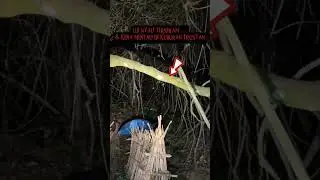 UJI NYALI TERSERAM ..! kena mental wisata mistis di kuburan TRUNYAN #angker #mistis #trunyan