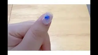 Ocean Elements Nail Art Collection 1/5
