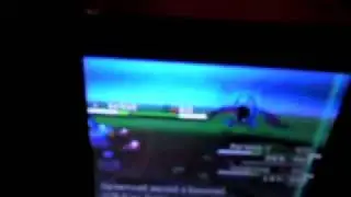 How to find Golbat in Pokemon White