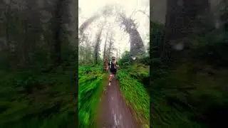 Epic 11-Mile Oregon Coast Trail Run #mountainrun #trailrunning