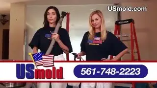 Mold Removal Palm Beach - Eliminate Mold, Mildew & Odor
